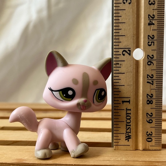 Cat #1326 Littlest Pet Shop - Picture 6 of 6